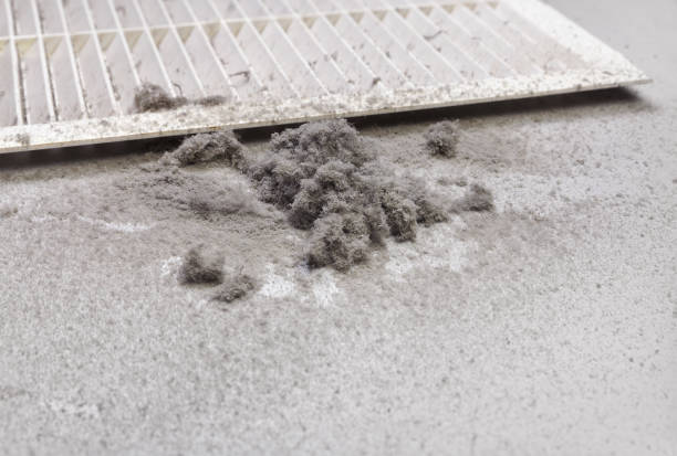 Best Air Duct Cleaning Cost  in Nevada, TX