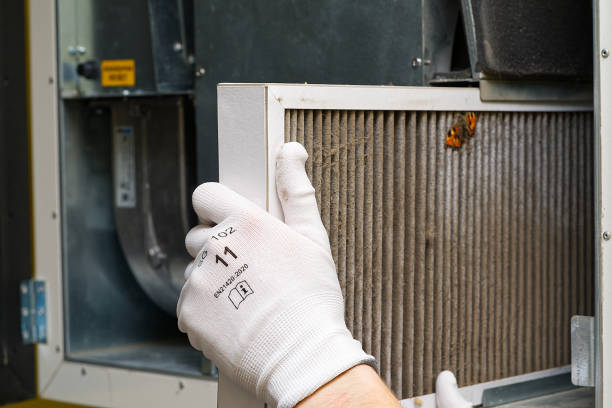 Best Best Air Duct Cleaning Company  in Nevada, TX