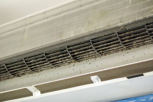 Best Air Duct Cleaning Company Near Me  in Nevada, TX