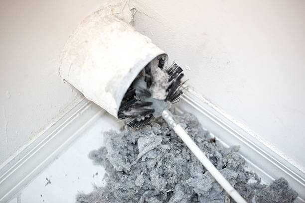 Best Professional Duct Cleaning Services  in Nevada, TX